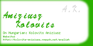 aniziusz kolovits business card
